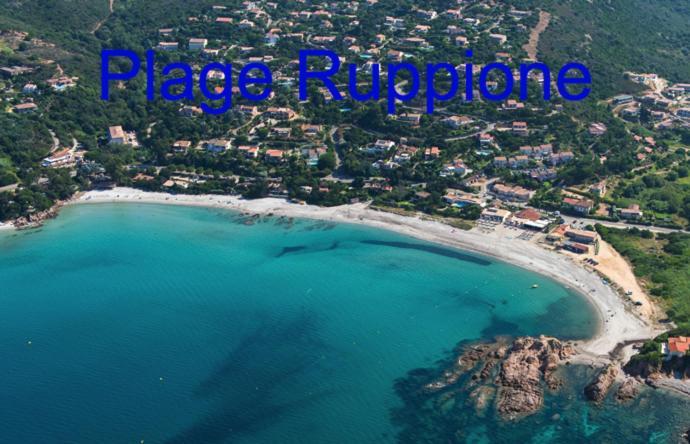 Vue Mer Panoramique Plage 50M Porticcio Corse Exteriér fotografie